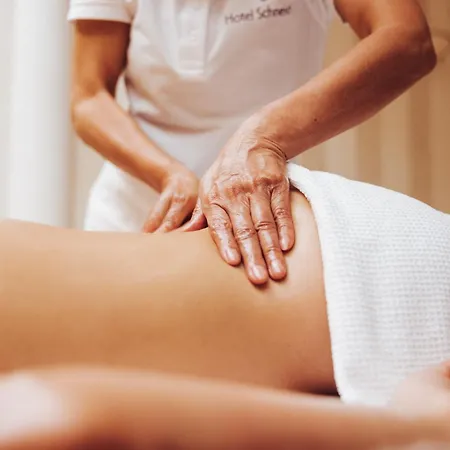 Superior Schneider Ski-in & Ski-out Hotel Obertauern