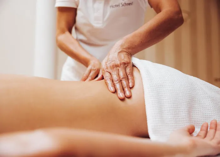 Superior Schneider Ξενοδοχείο Obertauern